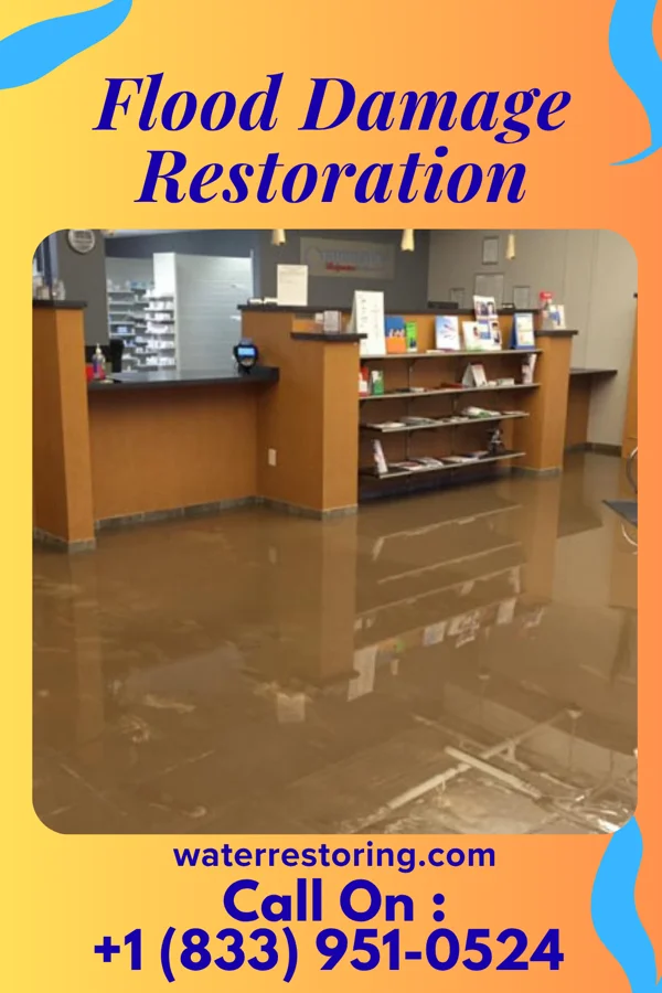 Flood Damage Restoration in Prosperity, SC